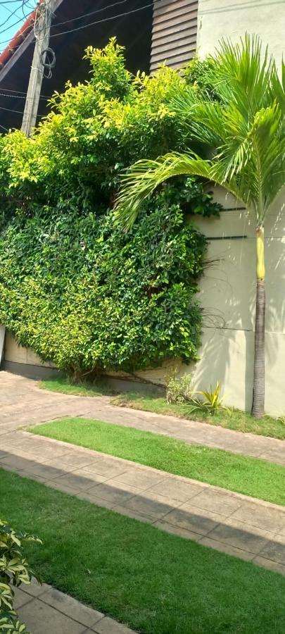 Ocean View Tourist Guest House At Negombo Beach Near The Airport Dış mekan fotoğraf